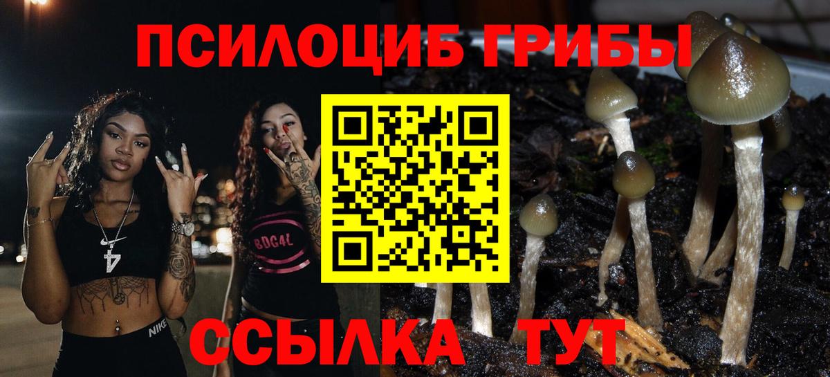 магазин продажи наркотиков  Галлюциногенные грибы ЛСД  Вход с VPN  Галлюциногенные грибы Magic Shrooms  Элиста 