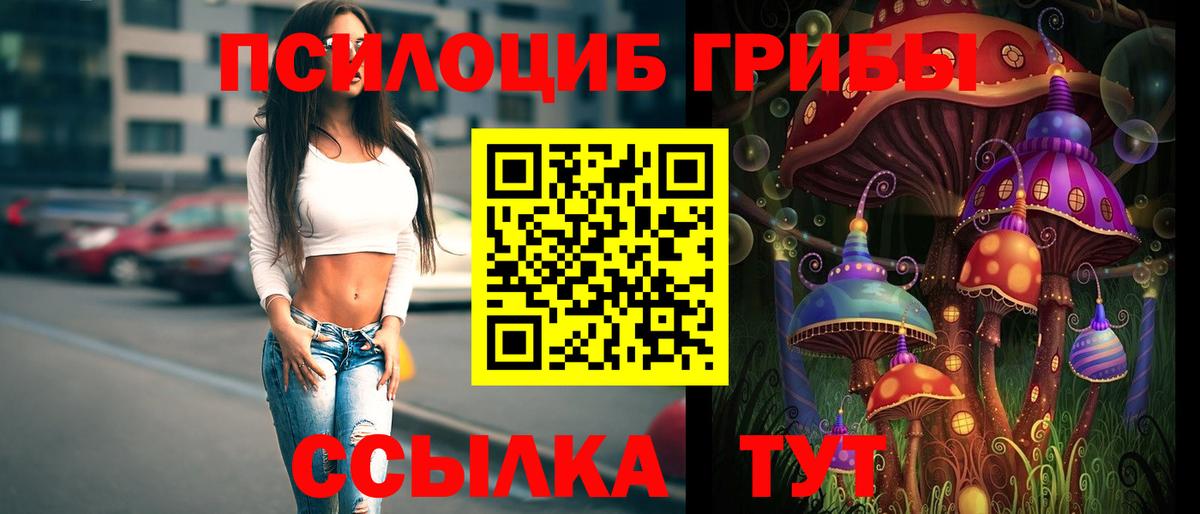 Псилоцибиновые грибы ЛСД Элиста